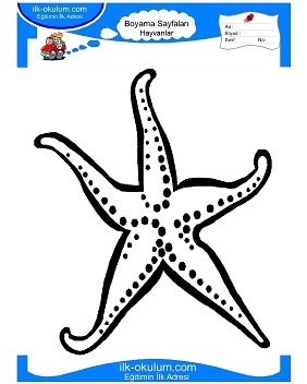 Çocuklar İçin Deniz Yıldızı Boyama Sayfaları 